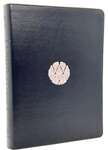 Biblia RVR1995, Biblia de Estudio con Herramientas de Exegésis, Imitación Piel