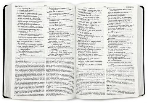 Biblia RVR1995, Biblia de Estudio con Herramientas de Exegésis, Imitación Piel