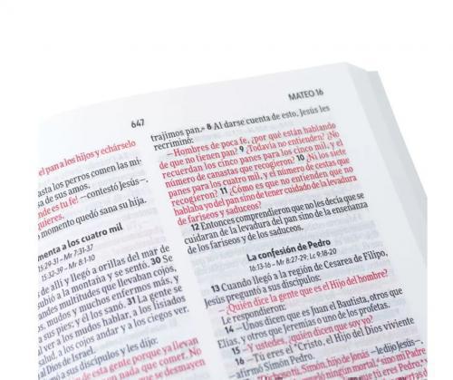 Biblia NVI Tamaño Manual, Excelencia Ultrafina, Portada Sencilla, Diseño Verde