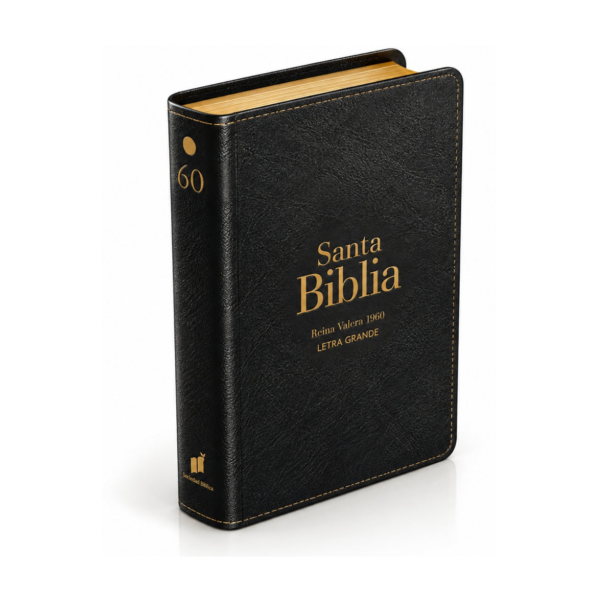 Biblia RVR1960 Letra Grande 12 Puntos Negro | Manual