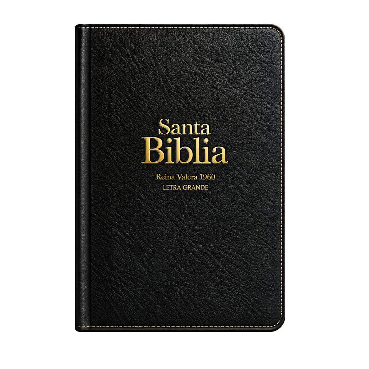 Biblia RVR1960 Letra Grande 12 Puntos Negro | Manual