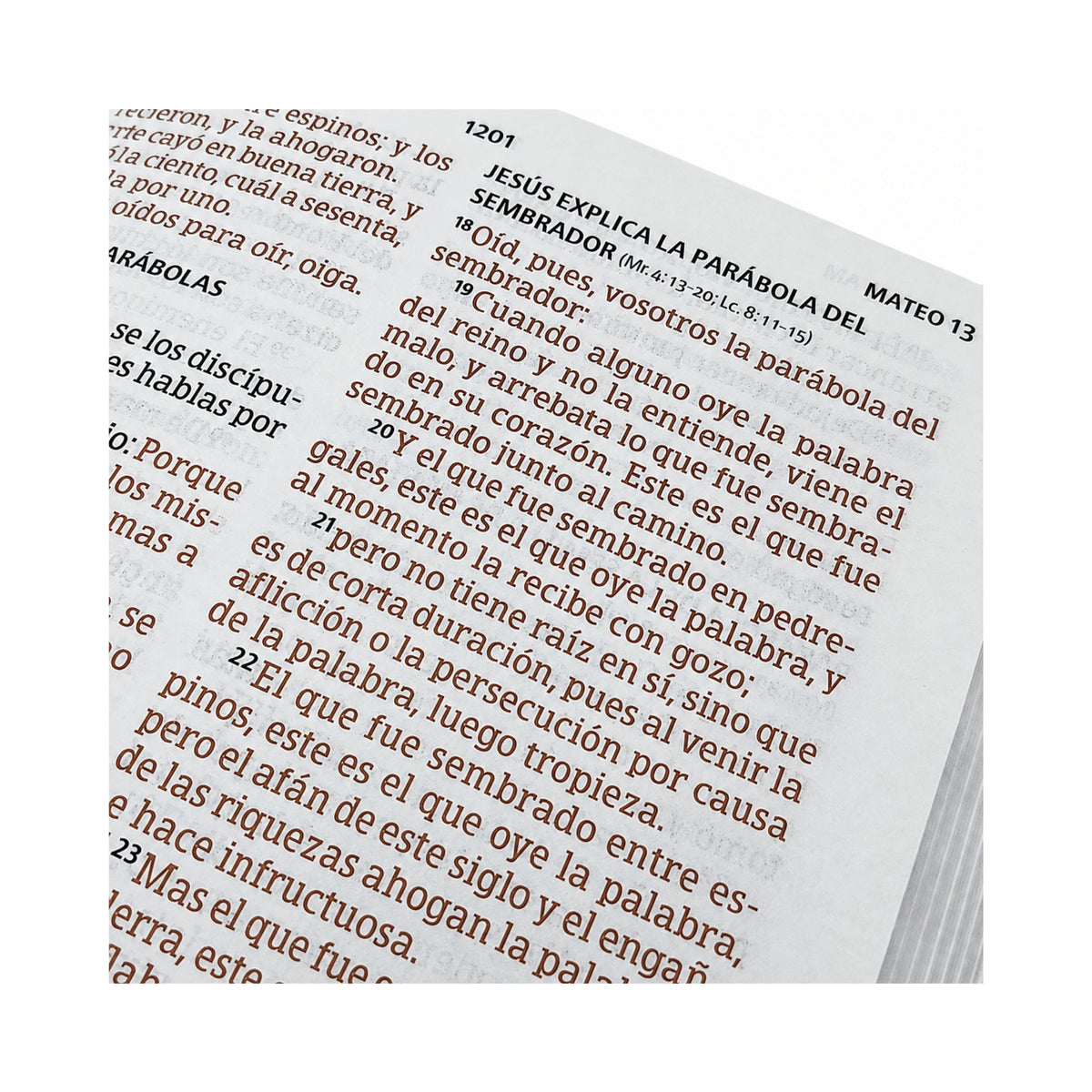 Biblia RVR60, Imitación Piel, Tamaño Manual, Color Ceniza León