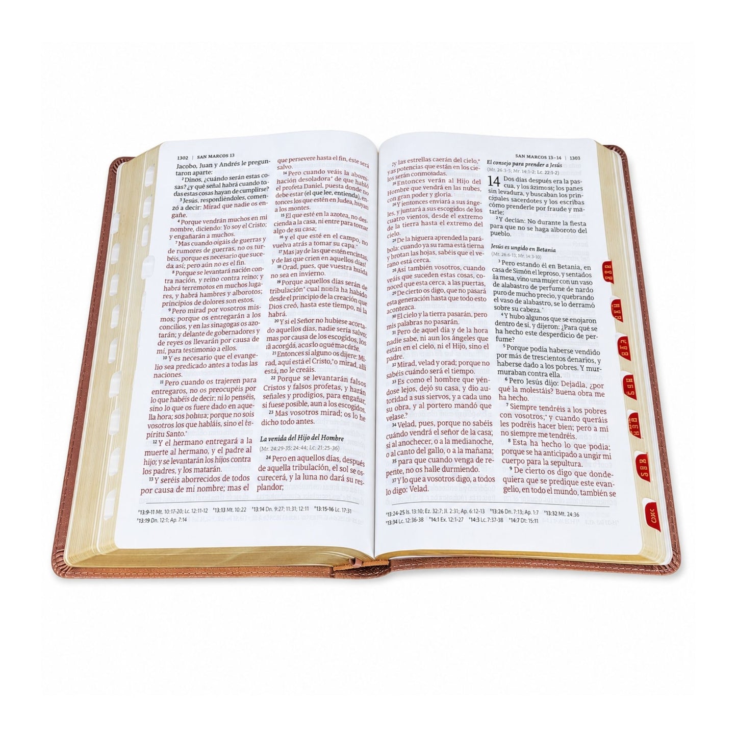 Biblia RVR1960, Tamaño Gigante, Imitación Piel, Color Rosa Perla Con Indice