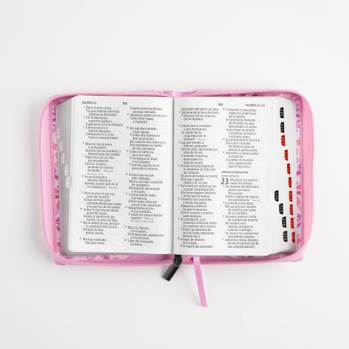Reina Valera 1960 Imitation Leather Bible, Compact Size, Large Print with Zipper
