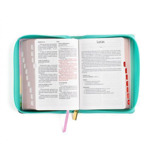 Biblia Reina Valera 1960 Imitación Piel, Tamaño Compacto, Letra Grande Con Cierr