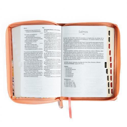 Reina Valera 1960 Bible, Imitation Leather, Manual Size, Zippered with Index