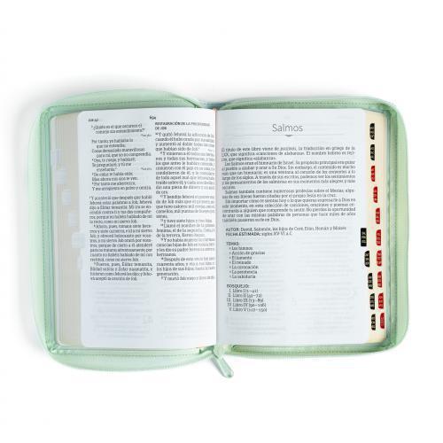 Reina Valera 1960 Bible, Imitation Leather, Manual Size, Zippered with Index
