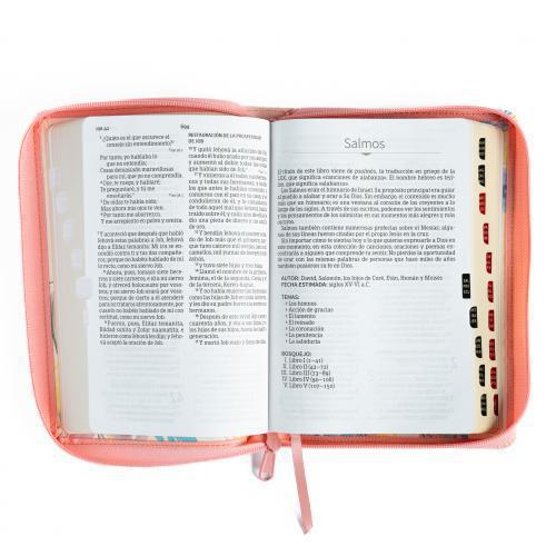 Biblia Reina Valera 1960 Imitación Piel, Tamaño Manual, Con Cierre e Indice