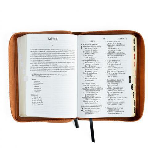 Biblia Reina Valera 1960 Imitación Piel, Tamaño Manual, Letra Grande, Con Cierre