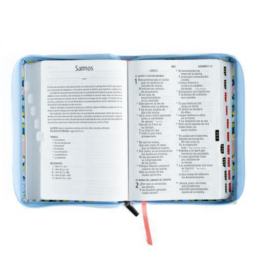 Biblia Reina Valera 1960 Imitación Piel, Tamaño Manual, Letra Grande, Con Cierre
