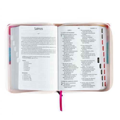 Biblia Reina Valera 1960 Imitación Piel, Tamaño Manual, Letra Grande, Con Cierre