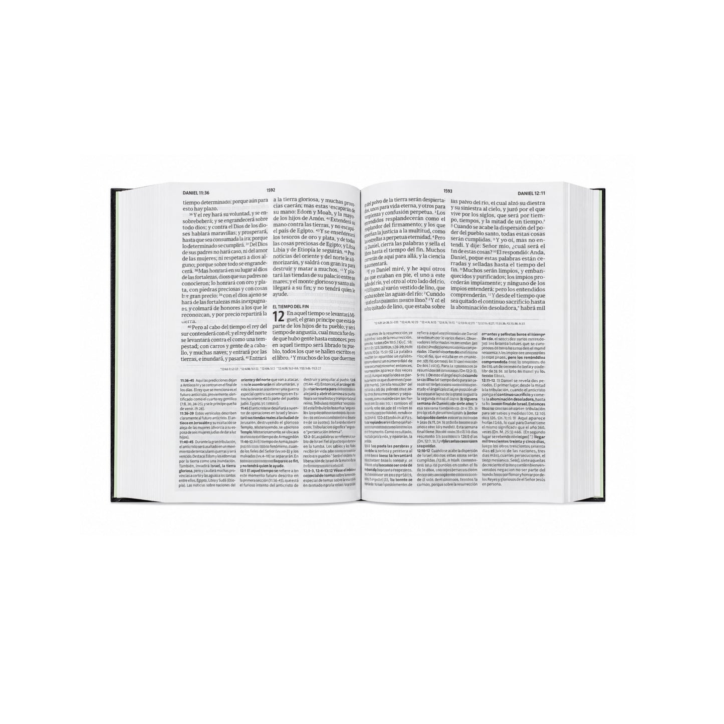 RVR 1960 Biblia de estudio letra gigante, tapa dura