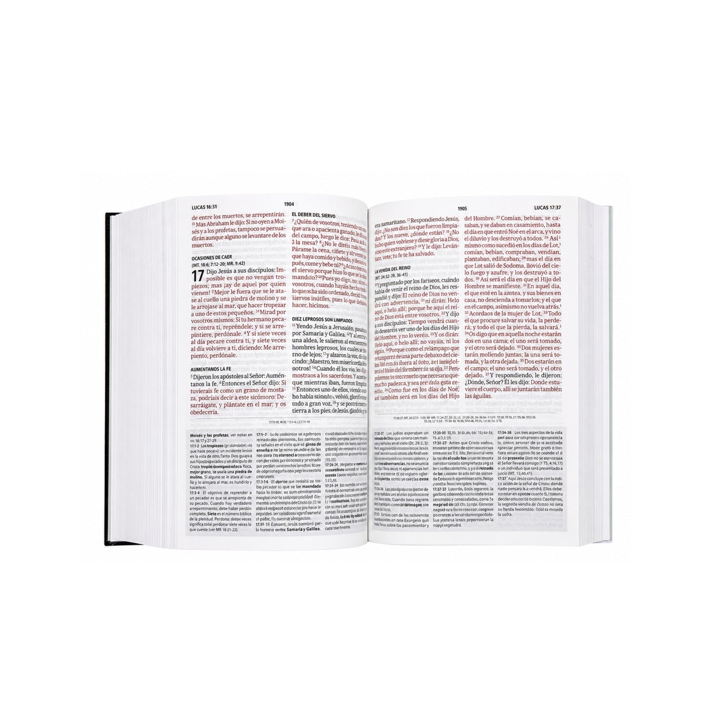 RVR 1960 Biblia de estudio letra gigante, tapa dura