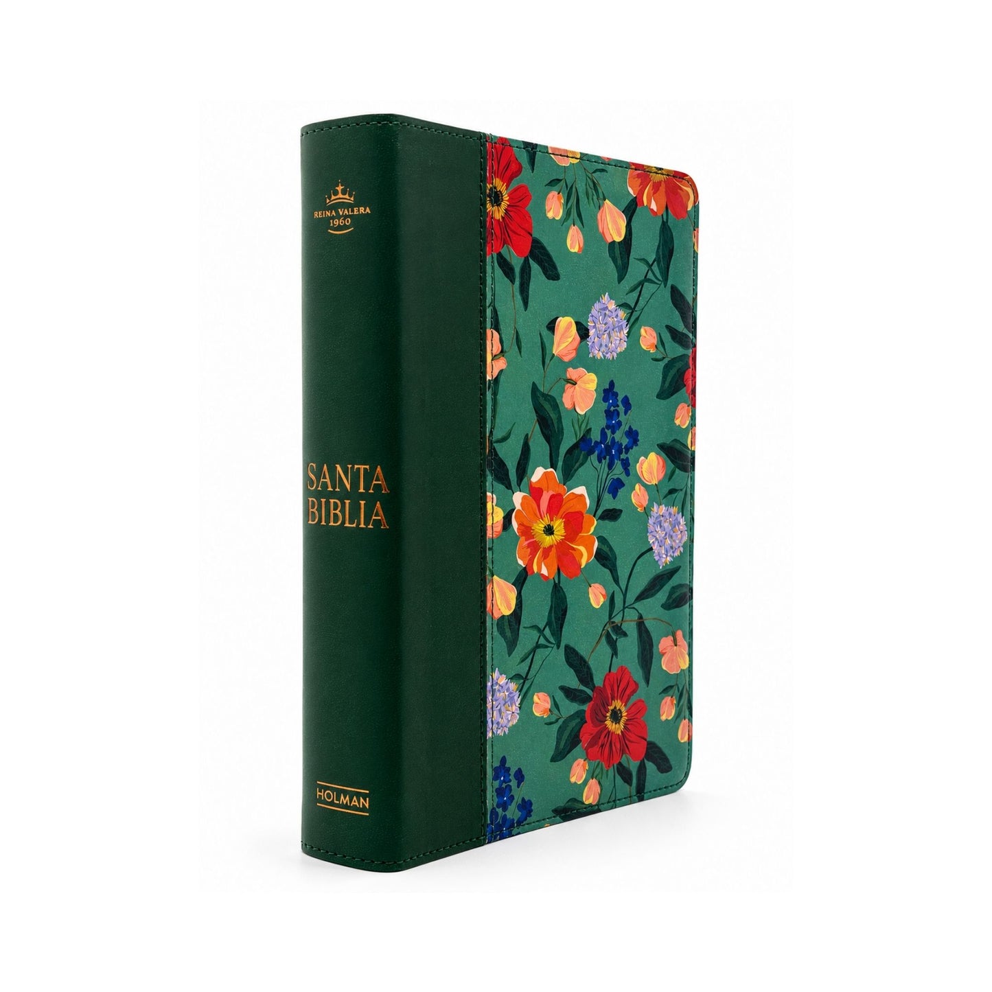 Reina Valera 1960 Biblia letra grande, tamaño manual, edición especial, verde