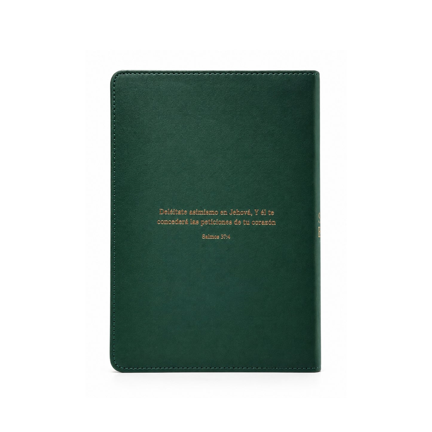 Reina Valera 1960 Biblia letra grande, tamaño manual, edición especial, verde