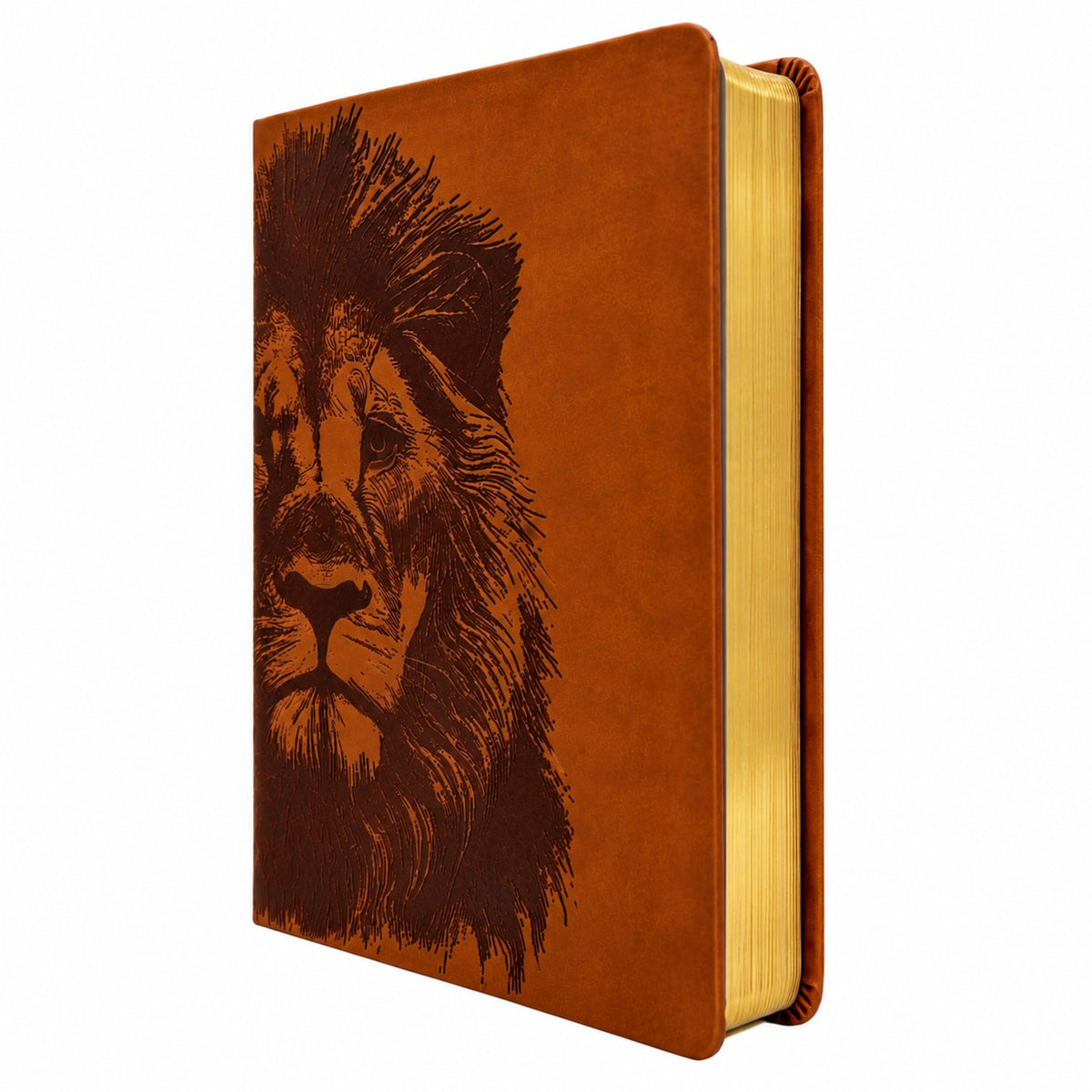 Biblia Nueva Traducción Viviente de Margen Amplio - Cafe Leon