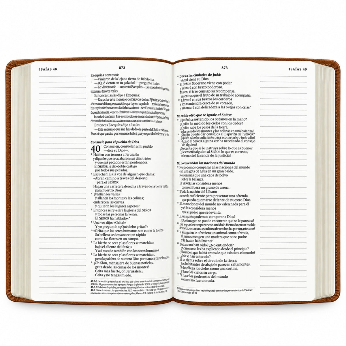 Biblia Nueva Traducción Viviente de Margen Amplio - Cafe Leon