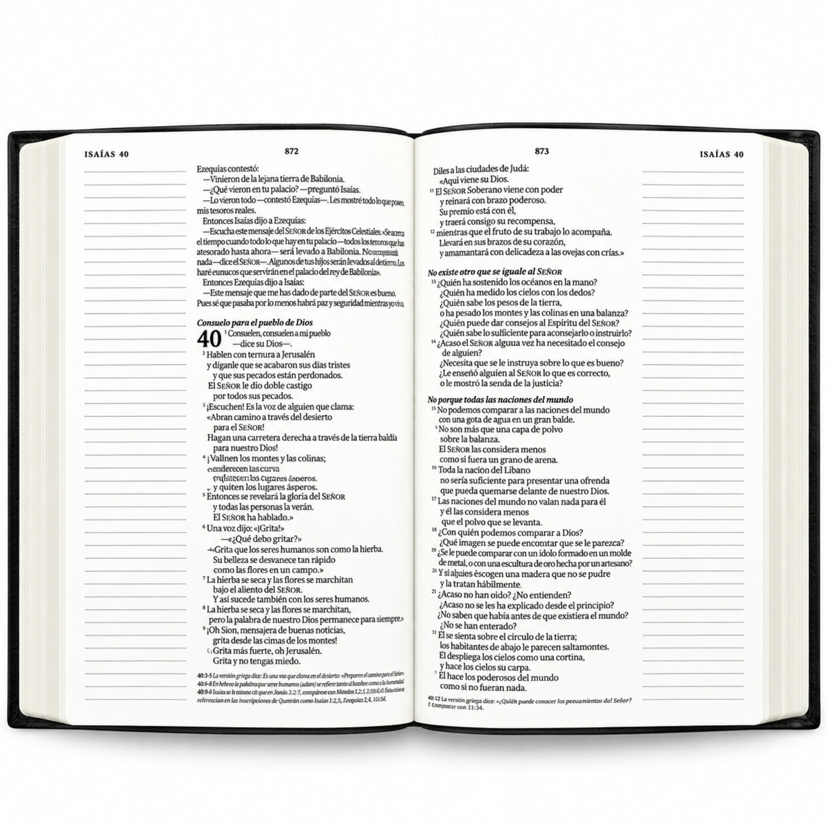 Biblia Nueva Traducción Viviente de Margen Amplio - Negro con cruz