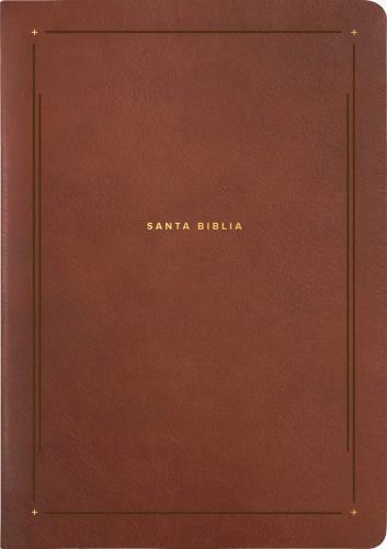 NLT Everyday Life Study Bible, Imitation Leather, Brown