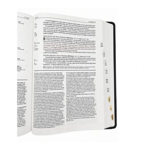 Biblia de estudio del diario vivir NTV, Imitación Piel, Color Negro con Indice