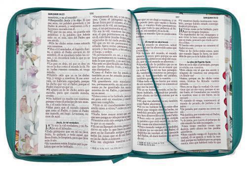 RVR1960 Bible, Large Print, Imitation Leather, Aqua Butterflies, Zippered