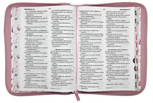 RVR1960 Bible, Large Size, Large Print, Imitation Leather, Pink Butterfly