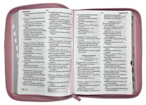 RVR1960 Bible, Large Print, Imitation Leather, Pink, Zippered with Index
