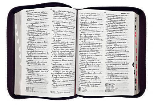 RVR1960 Bible, Large Print, Imitation Leather, Brown, Zippered with Index