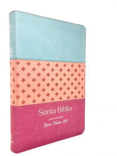 RVR1960 Bible, Tricolor Collection Manual Size, Imitation Leather, Blue/Pink