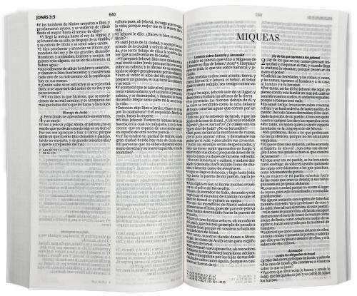 Santa Biblia Reina-Valera 1960, Portada Rústica, Color Negro