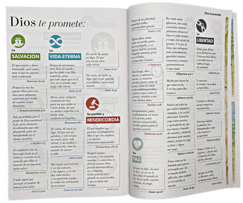 Santa Biblia Reina-Valera 1960, Portada Rústica, Color Negro