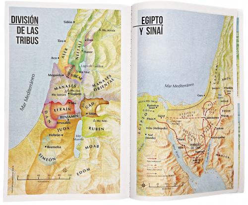 Santa Biblia Reina-Valera 1960, Portada Rústica, Color Negro