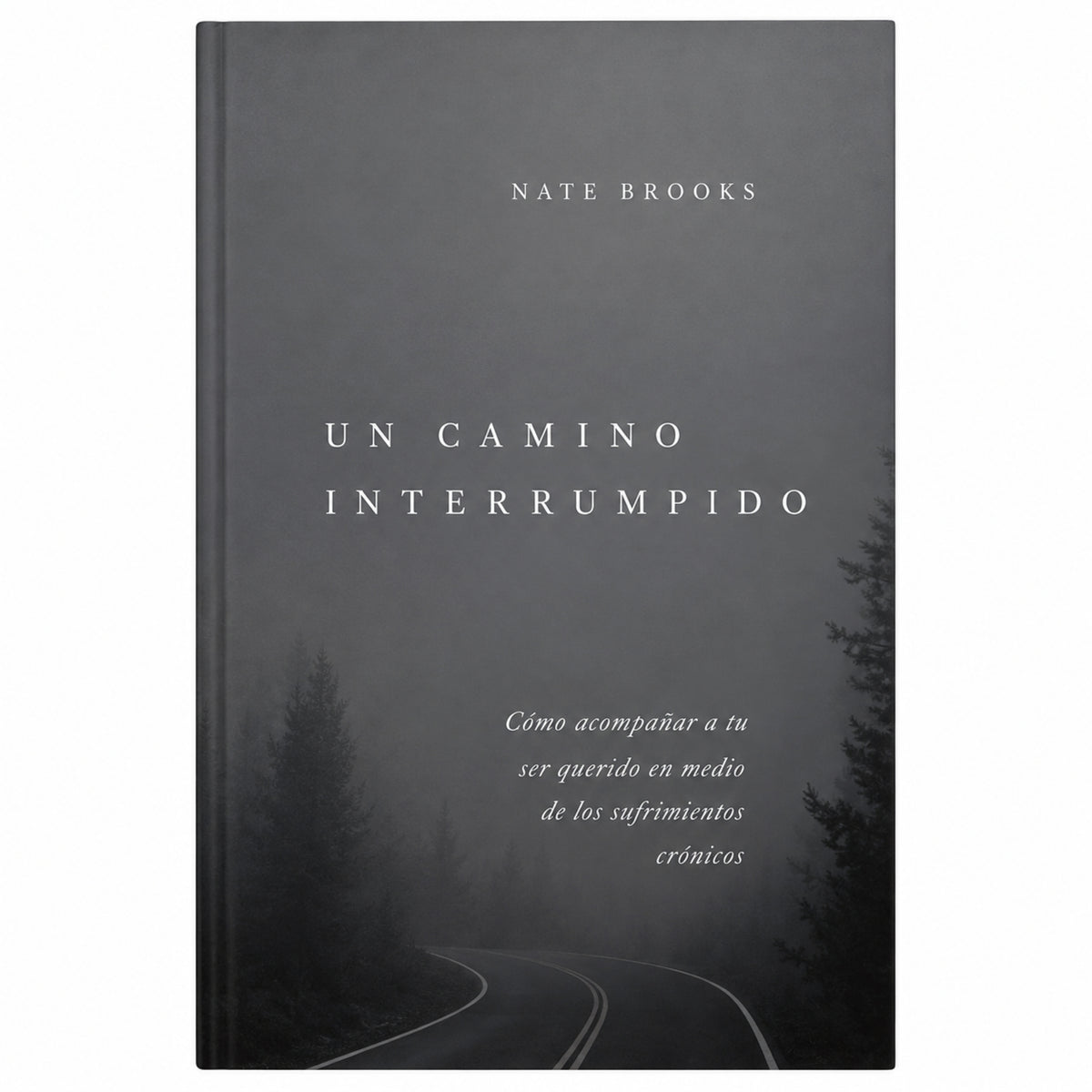 Un camino interrumpido por Nate Brooks