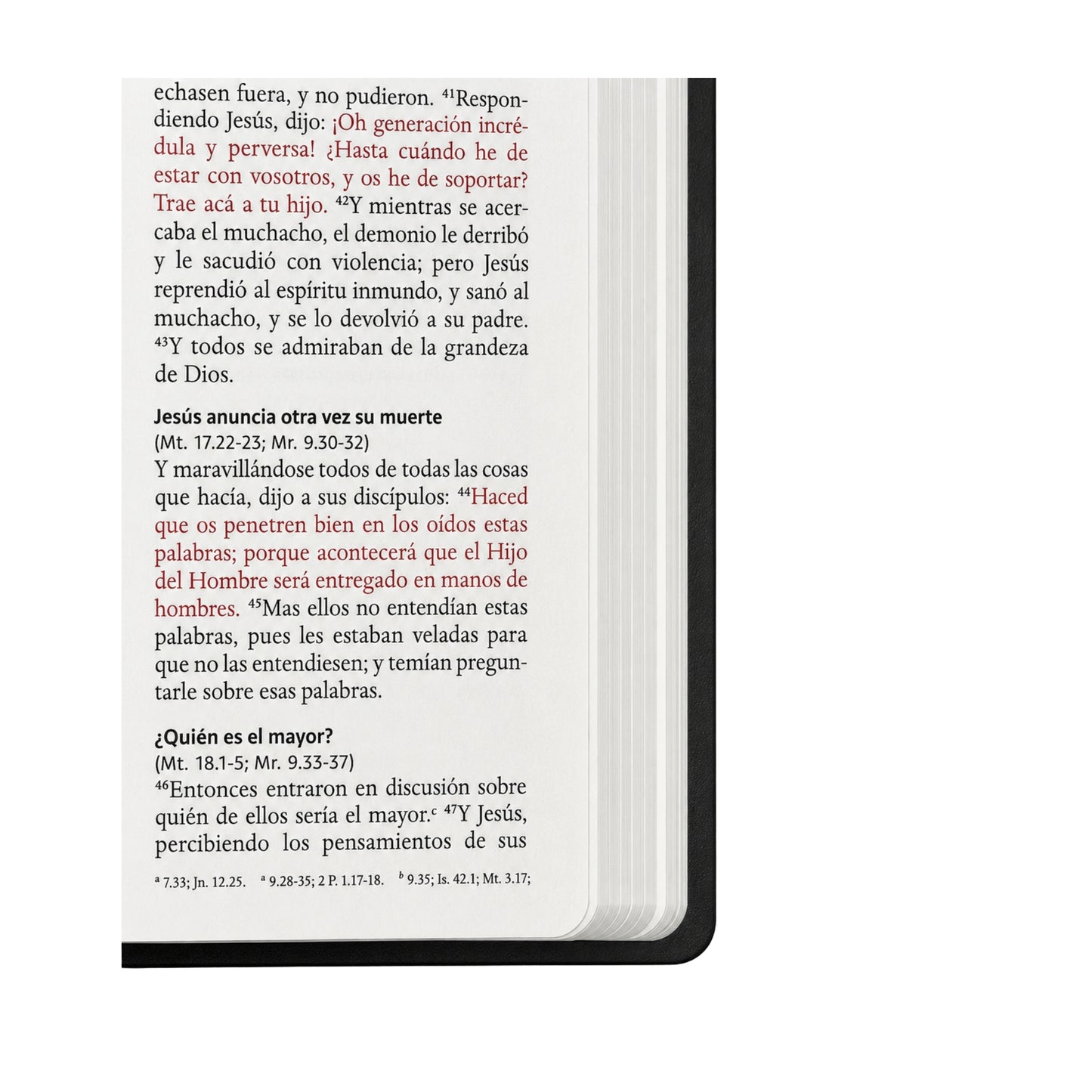 Biblia RVR 1960 letra grande, tamaño manual, símil piel gris, edición económica