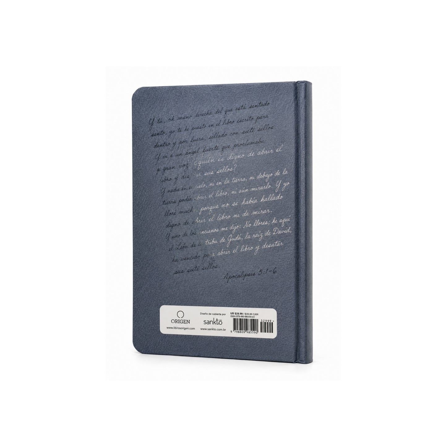 Biblia RVR 1960 letra grande tamaño manual, tapa dura León Rey de Reyes