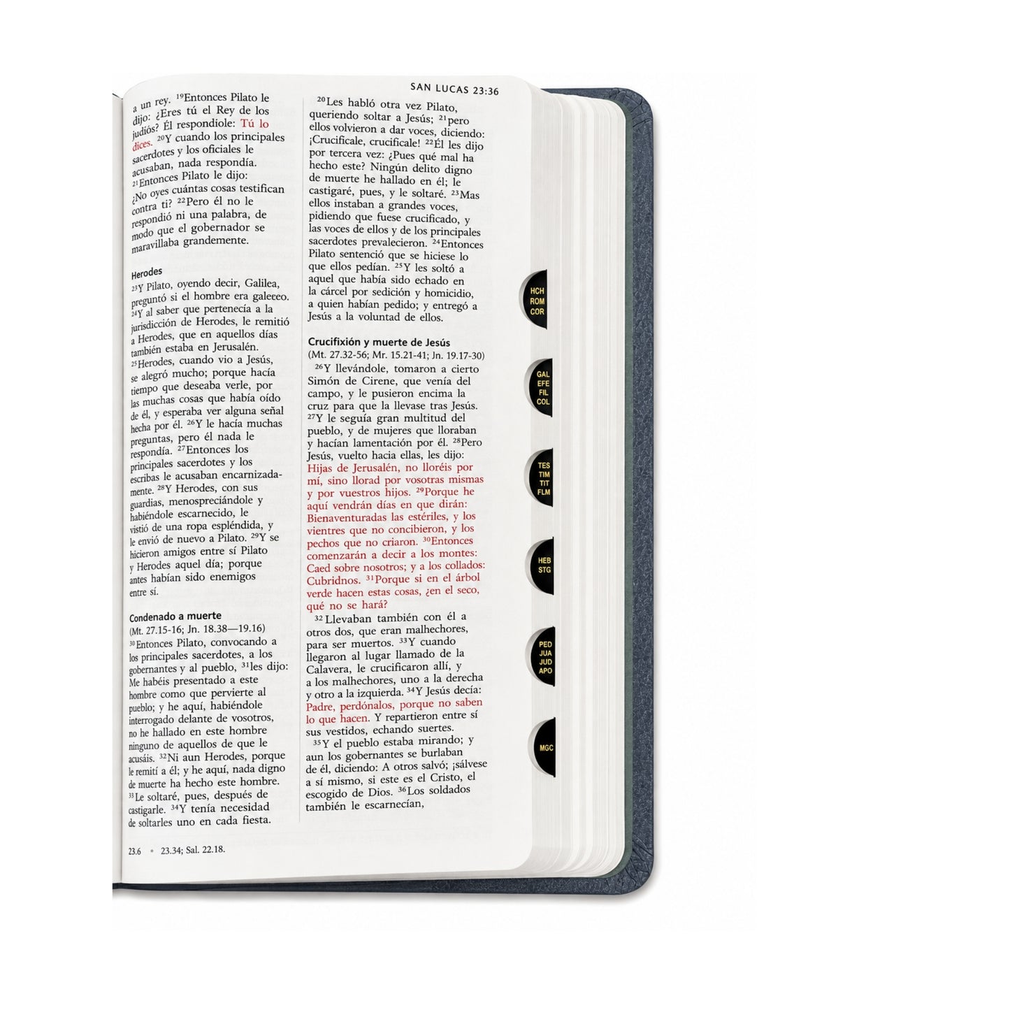 Biblia RVR 1960 letra grande tamaño manual, tapa dura León Rey de Reyes