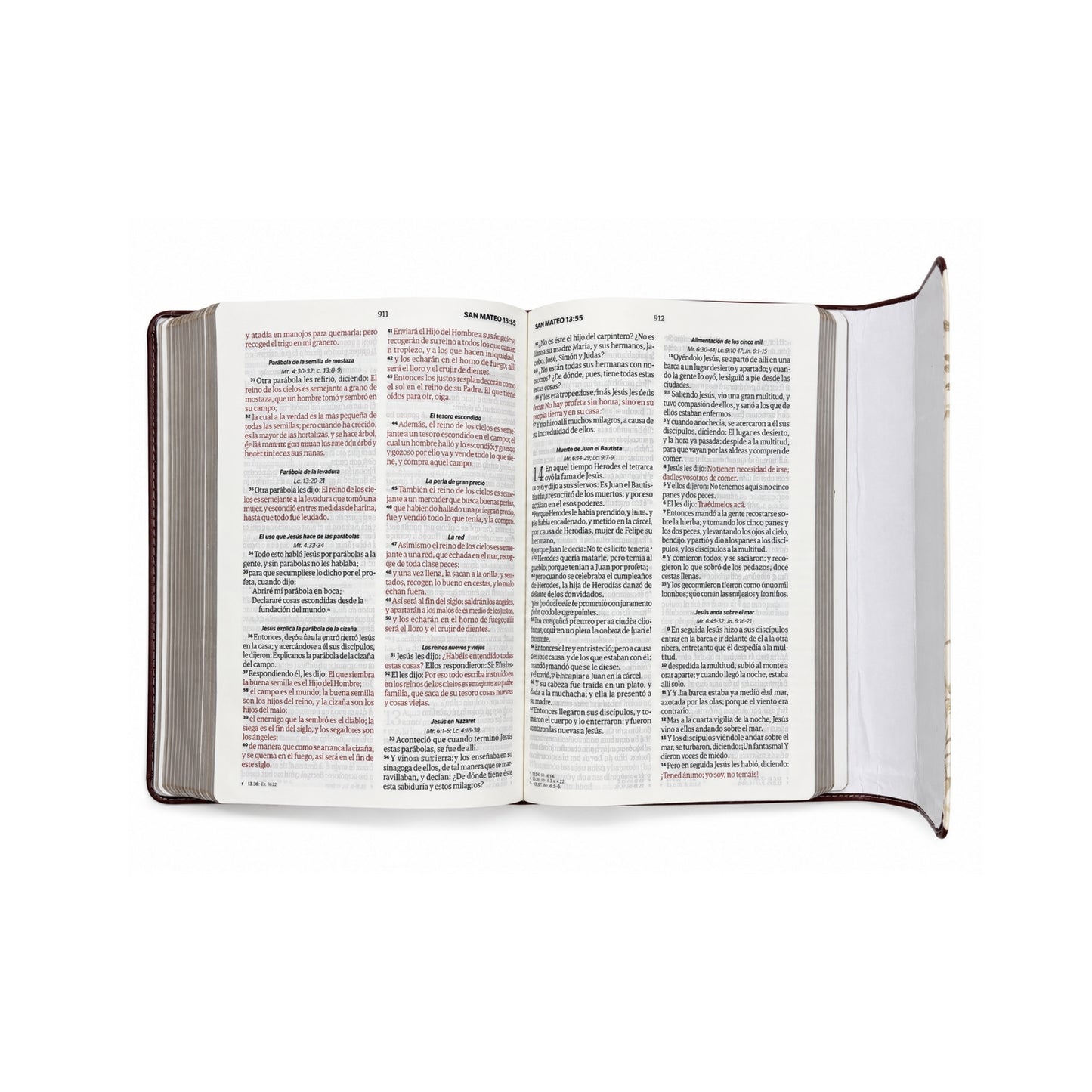 Biblia RVR60 Exquisita/ Flores Otoñales Con Solapa y Agarradera