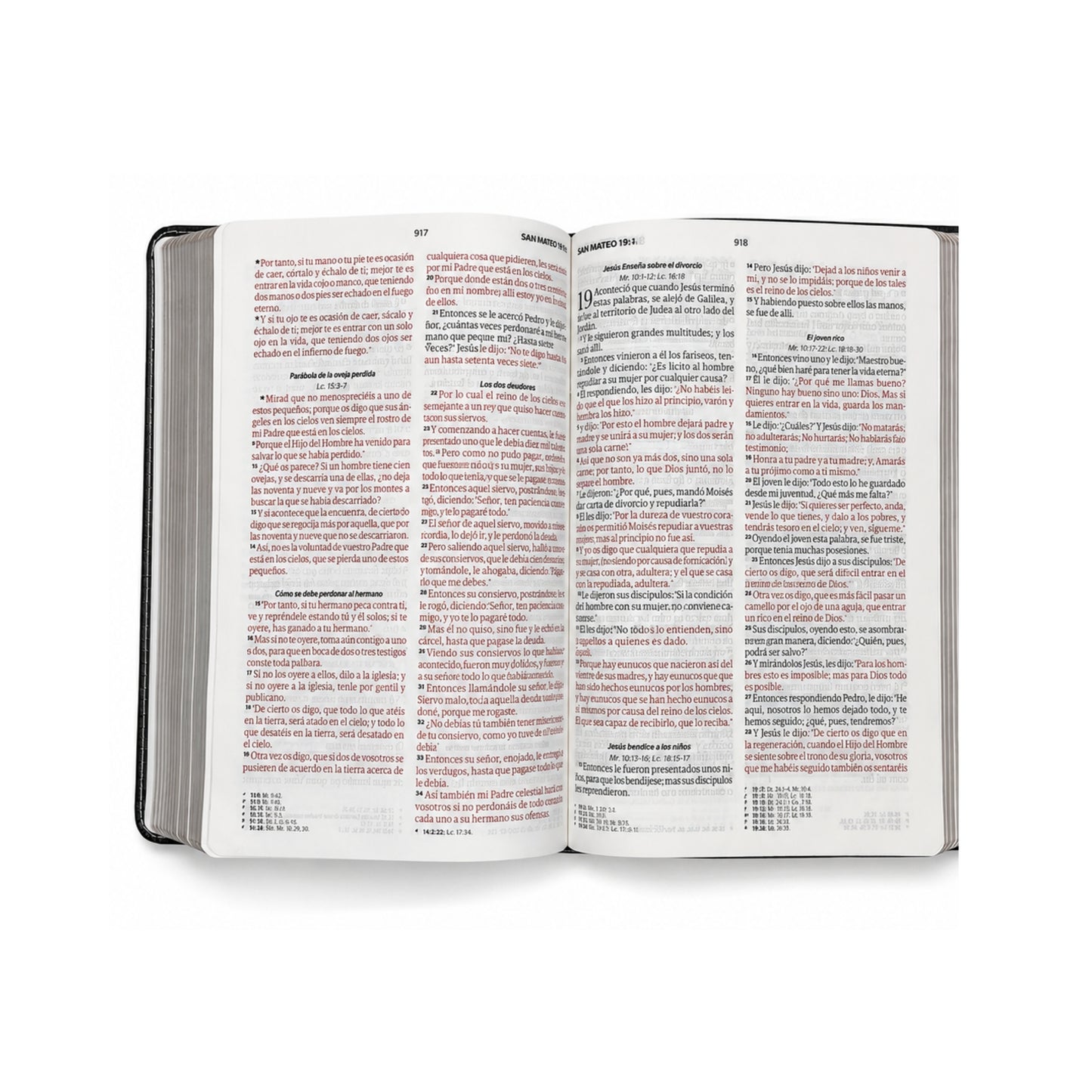 Biblia RVR1960 Imitación Piel Manual Con Solapa y Agarradera