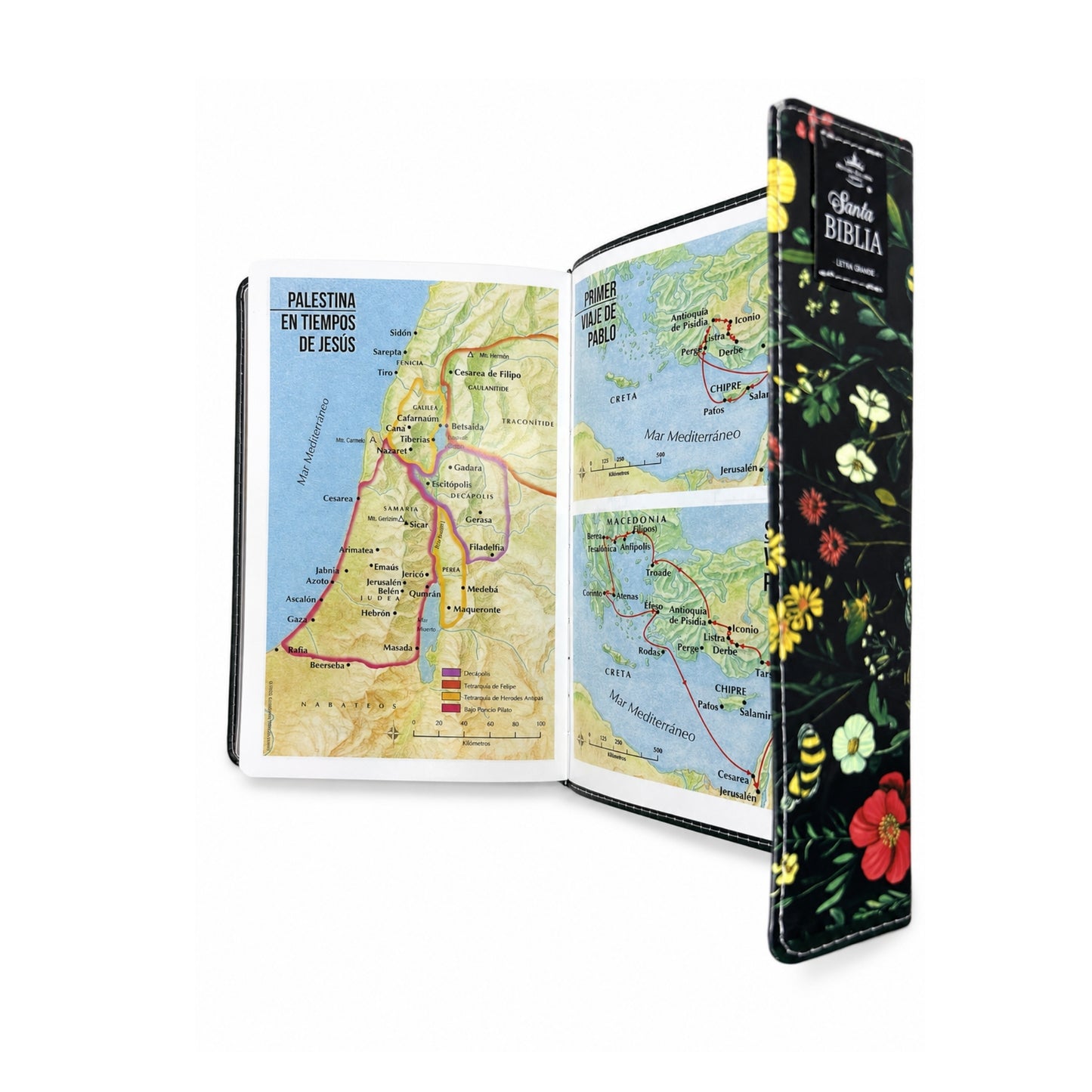 RVR 1960 Biblia Exquisita Floral