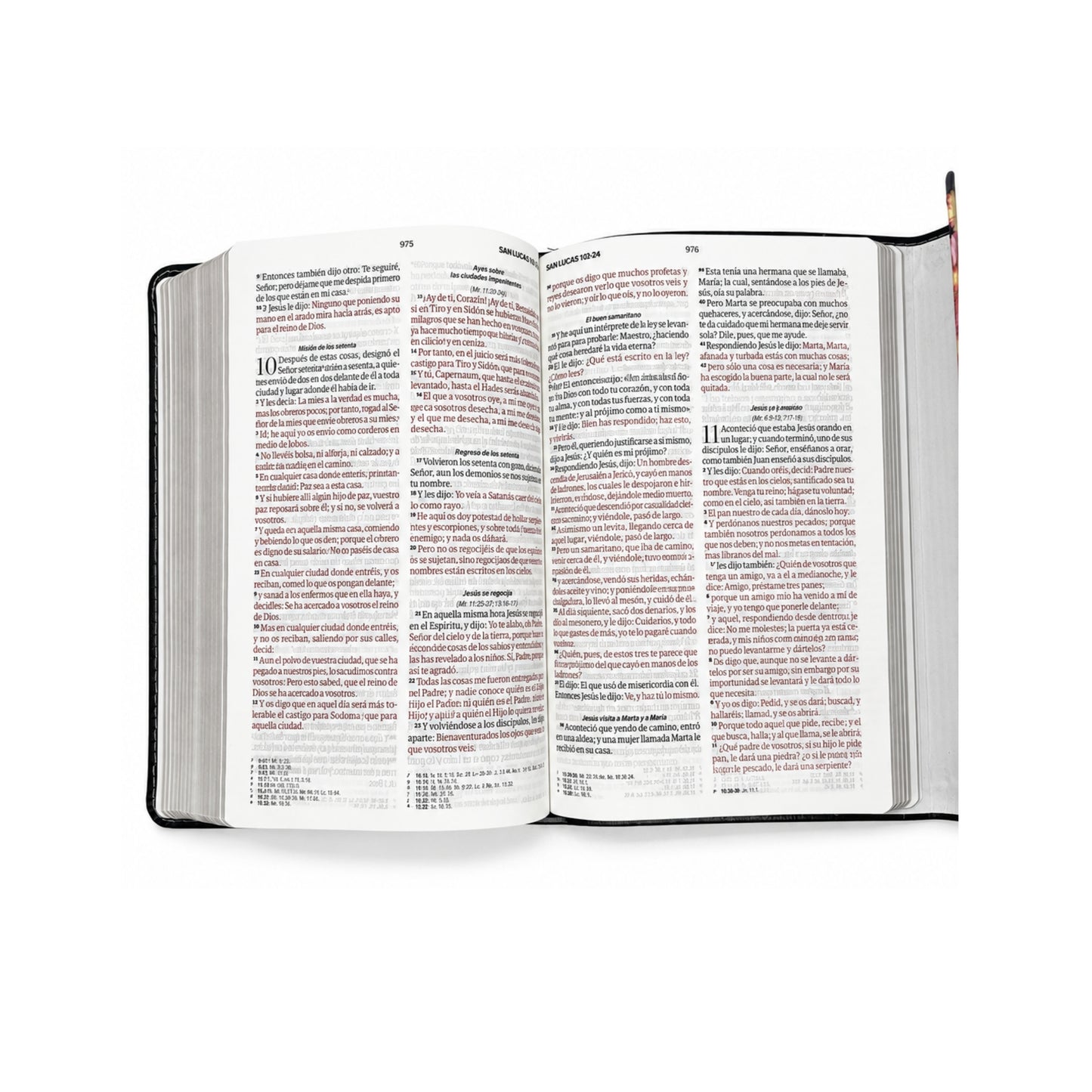 RVR 1960 Biblia Exquisita Floral