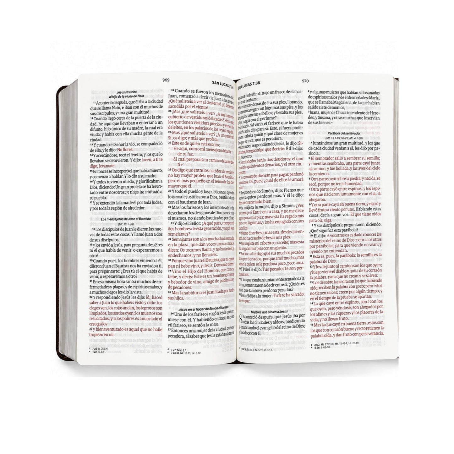 Biblia RVR60 Imitación piel tamaño manual con cierre y asa color café