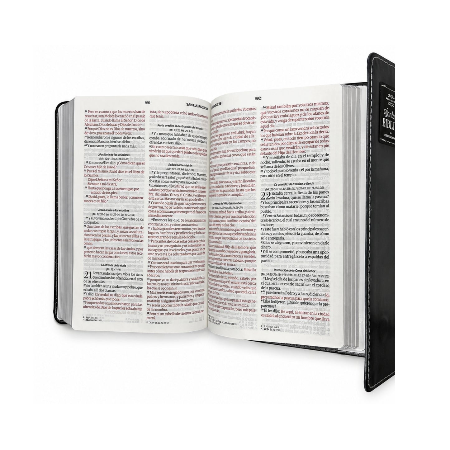 Biblia RVR1960 Imitación Piel Manual Con Solapa y Agarradera