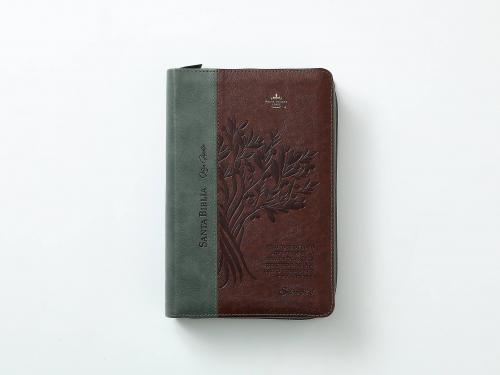 RVR1960 Imitation Leather Bible, Handy Size, Green with Zipper