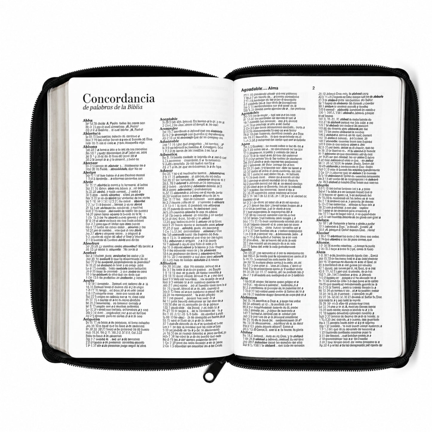 Biblia RVR1960 Obsequios y Premios Imitacion Piel Negro Con Cierre