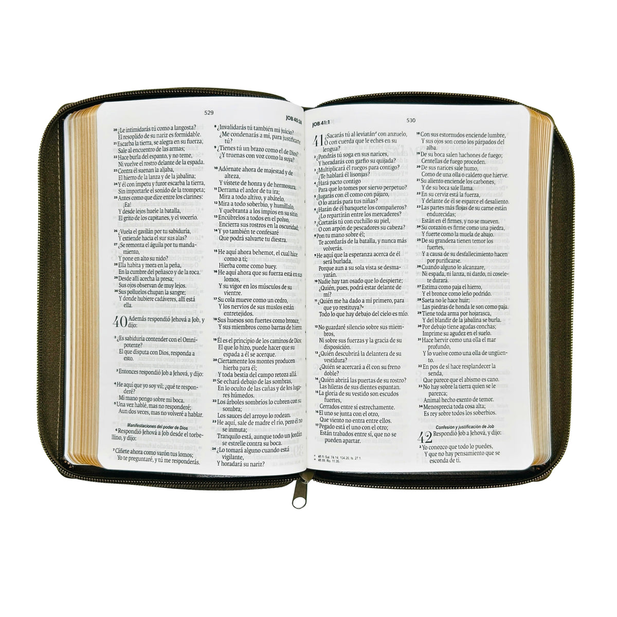 Biblia Reina Valera 1960 Tamaño Manual Con Cierre - Marron Elegante