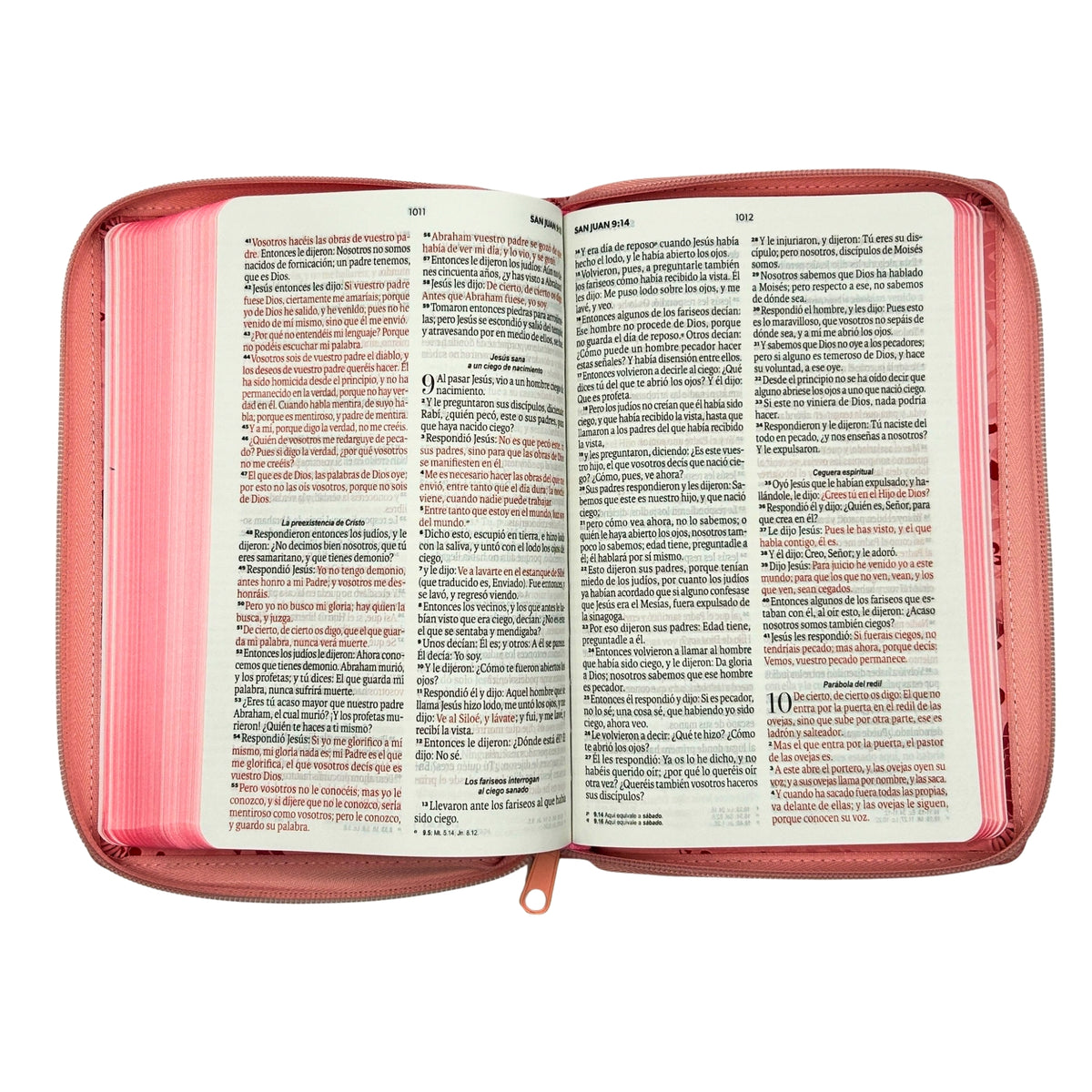 Biblia Reina Valera 1960 Tamaño Manual Con Cierre - Rosa Floral
