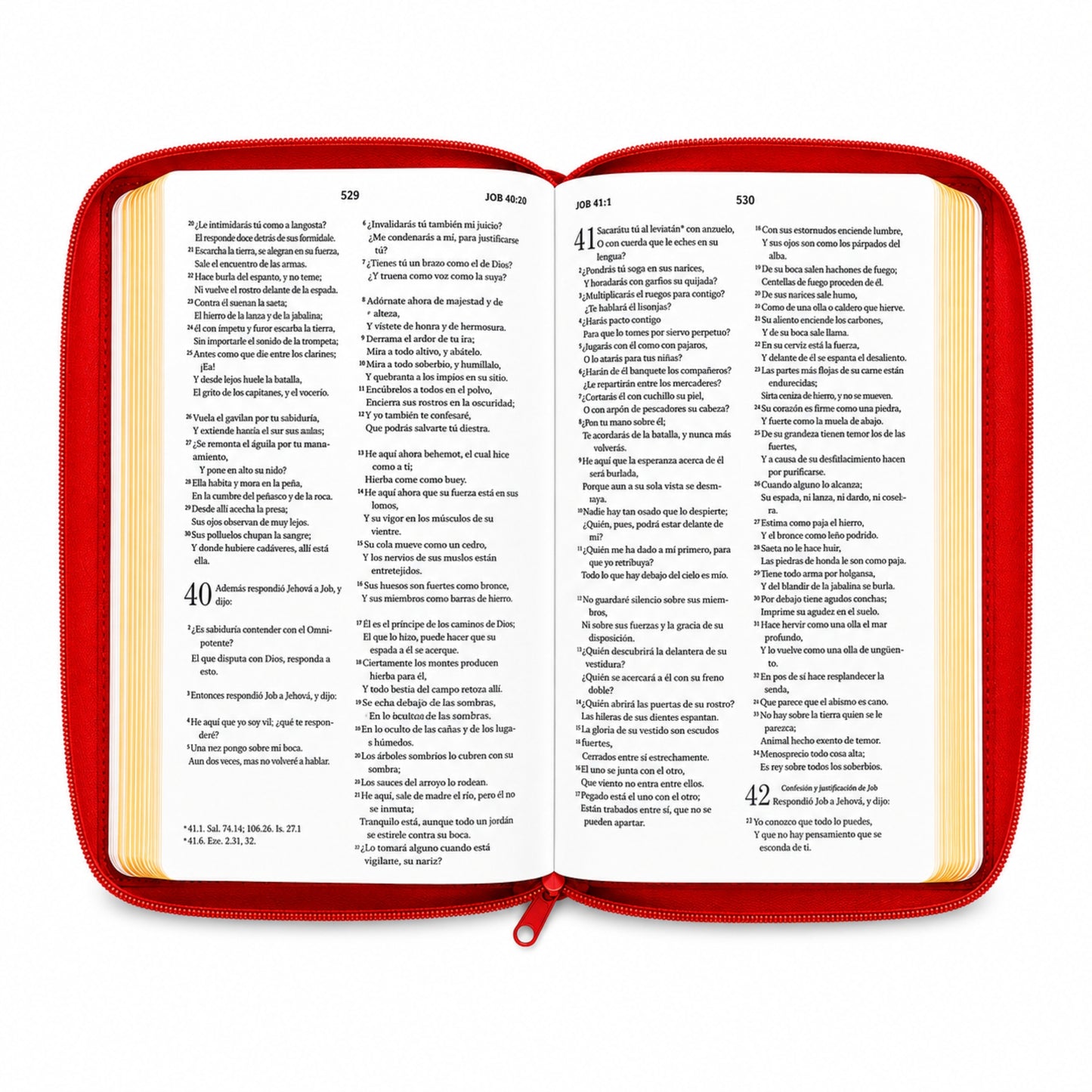 Biblia RVR1960 Obsequios y Premios Imitacion Piel Coral Con Cierre