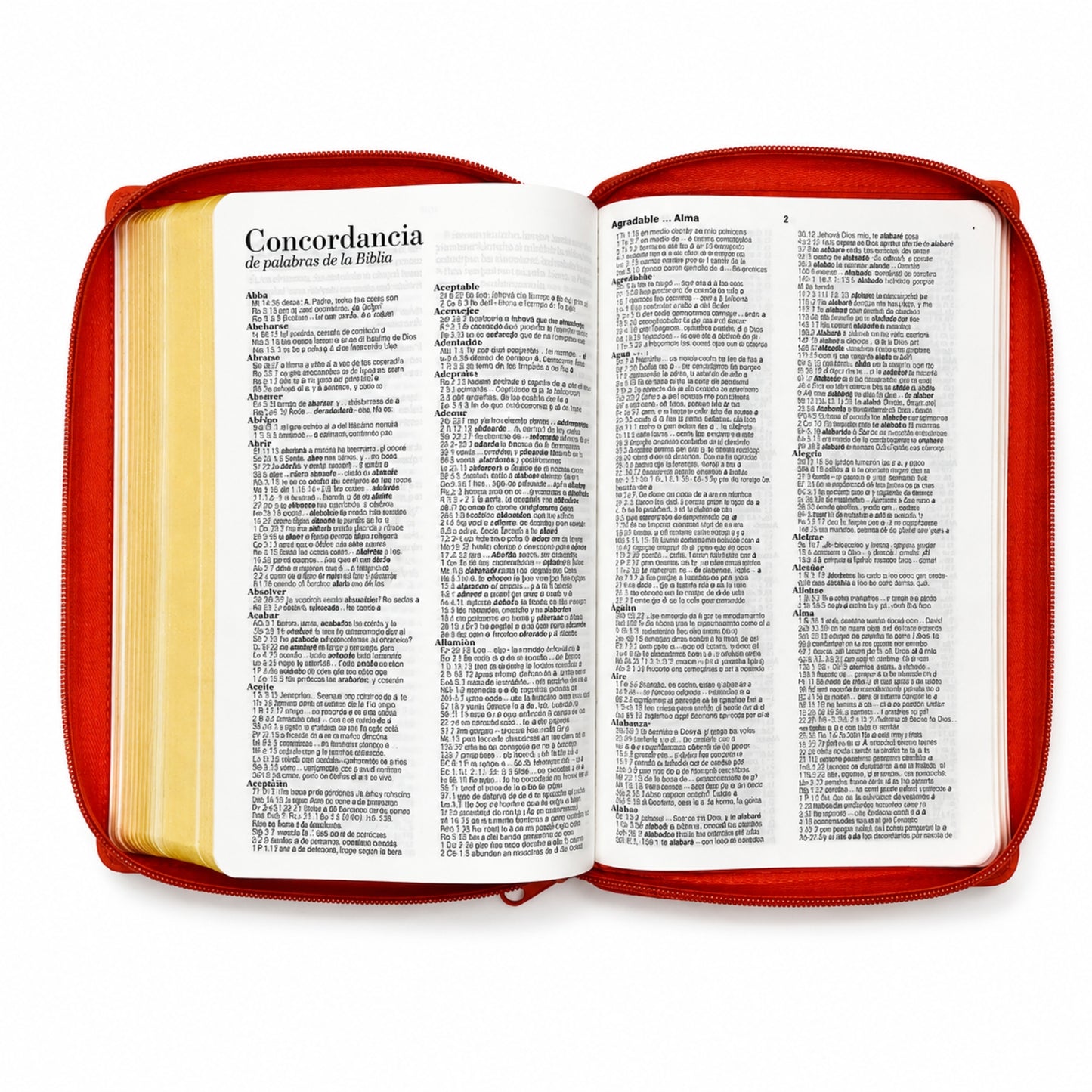 Biblia RVR1960 Obsequios y Premios Imitacion Piel Coral Con Cierre