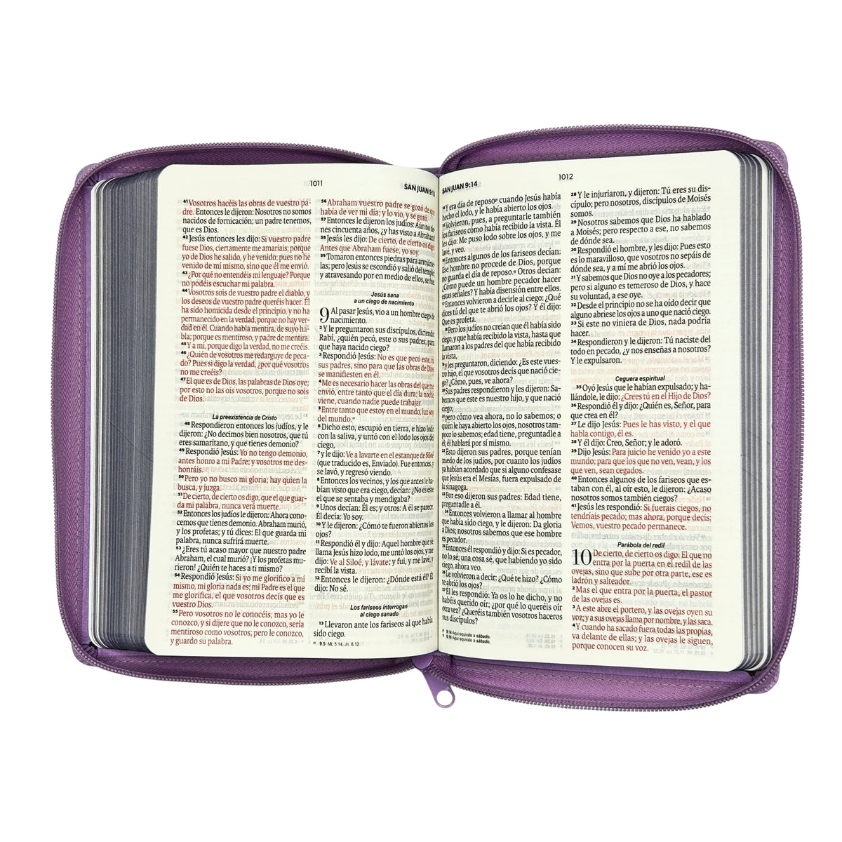 Biblia Reina Valera 1960 Tamaño Manual Con Cierre - Lila Primor