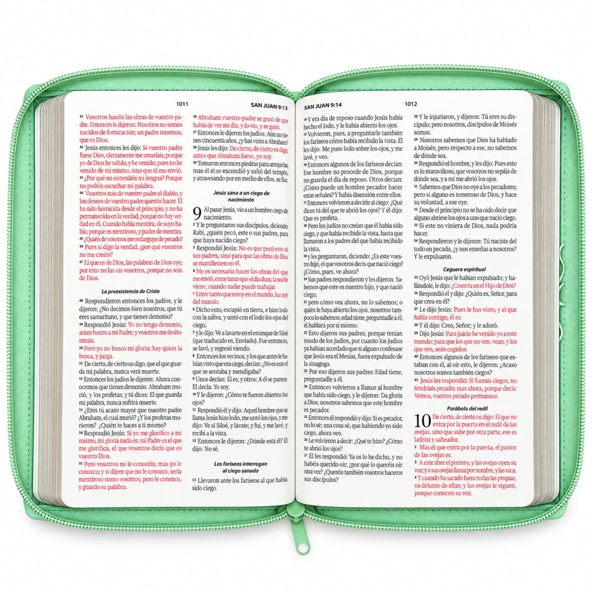 Biblia Reina Valera 1960 Tamaño Manual Con Cierre - Turquesa Mariposas